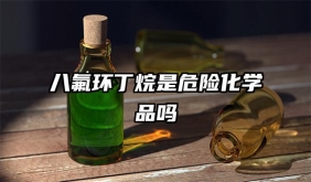 八氟環丁烷是危險化學品嗎